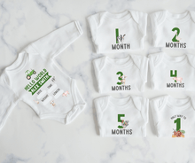 Load image into Gallery viewer, Farm Monthly Milestone Onesie Set
