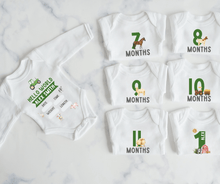 Load image into Gallery viewer, Farm Monthly Milestone Onesie Set
