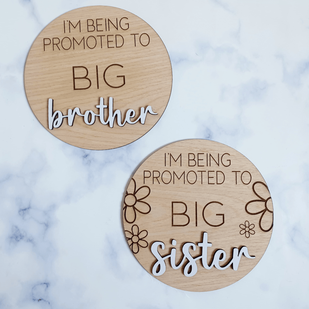 Promoted To Big Brother/Sister Plaque