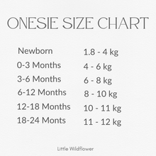 Load image into Gallery viewer, Ocean Mini Monthly Milestone Onesie Set
